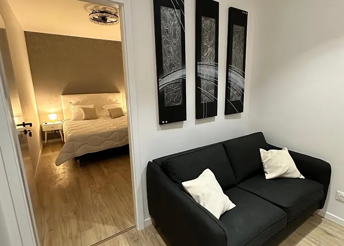 Maison De L'aar Le Rubis Luxueux Et Cosy Neuf * Strazburg